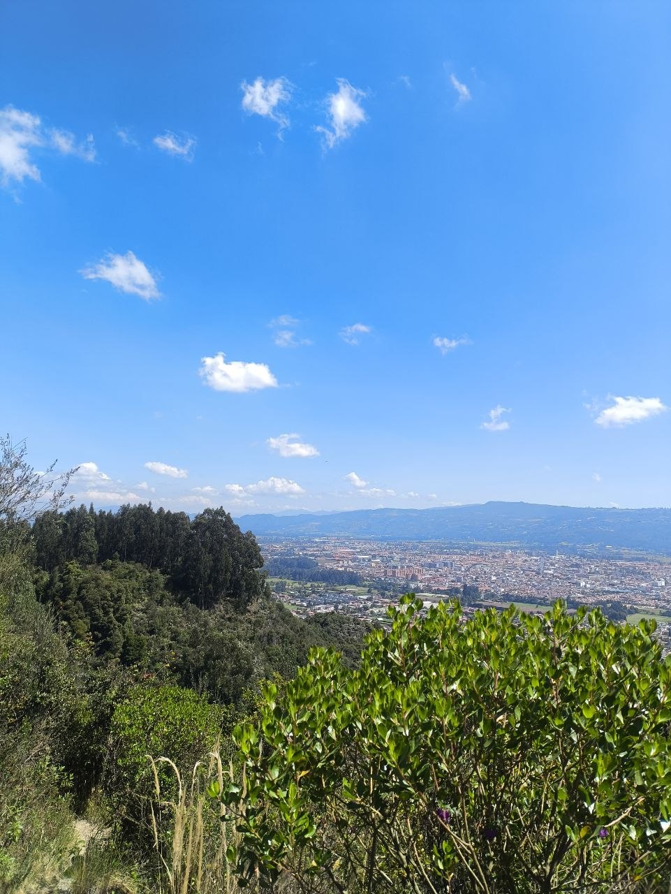 Sendero Mayor